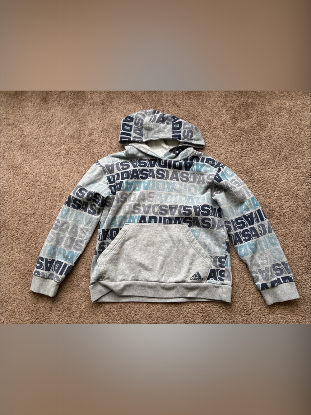 adidas Light Gray Hoodie with Blue and Black Logo Print